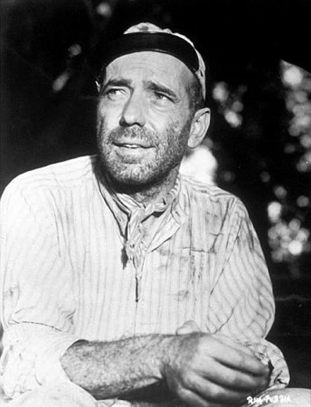 アフリカの女王の画像