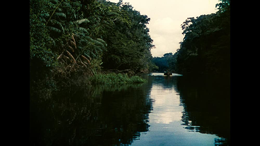 アフリカの女王の画像