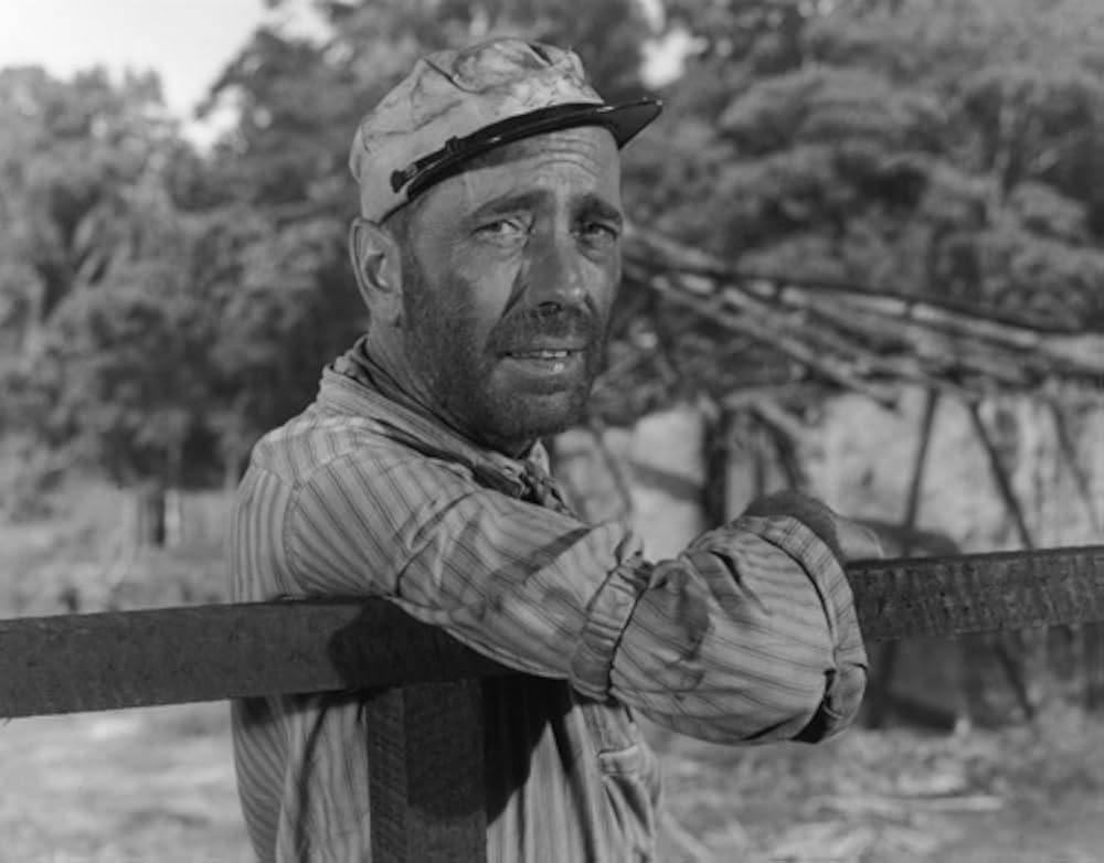 アフリカの女王の画像