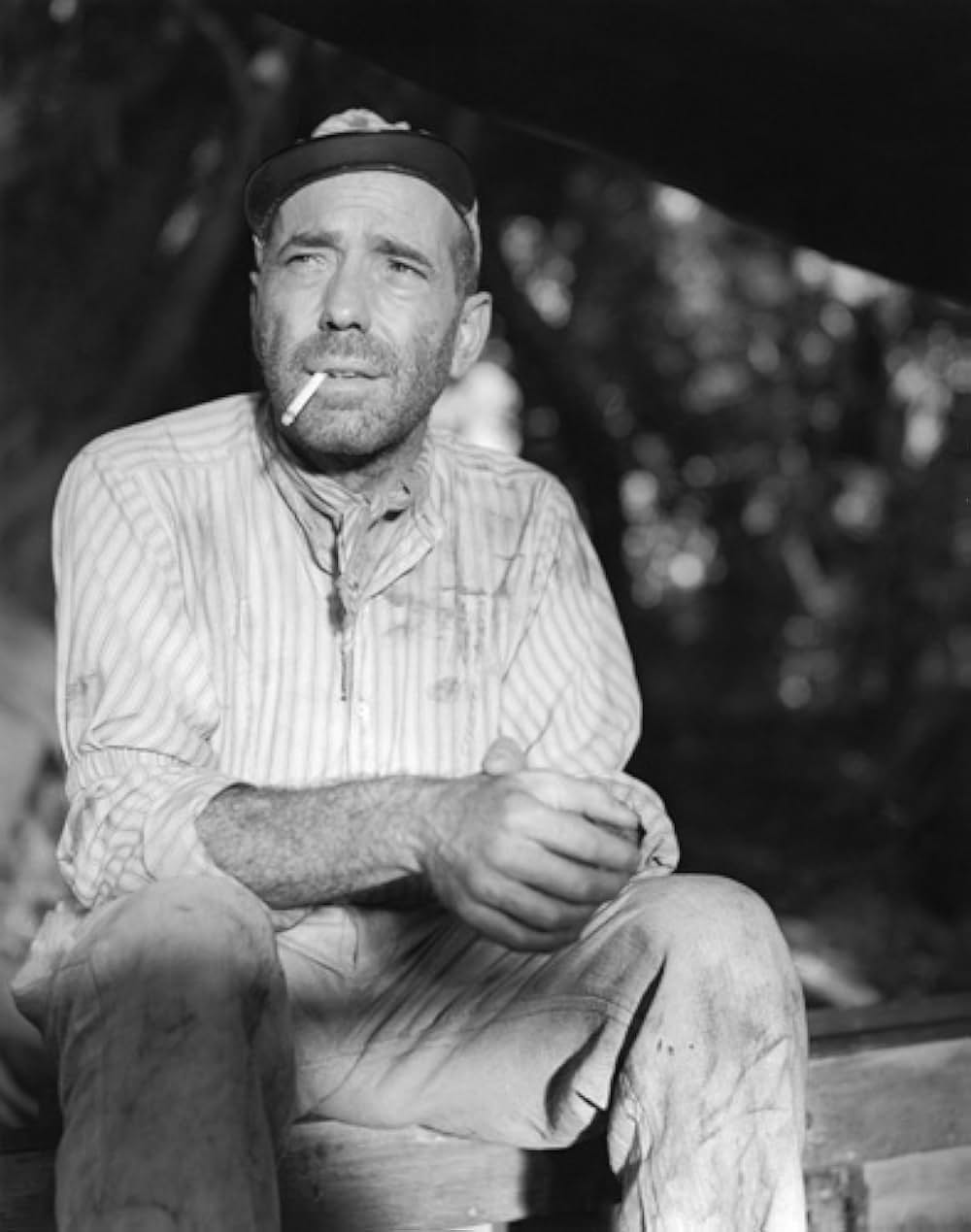 アフリカの女王の画像