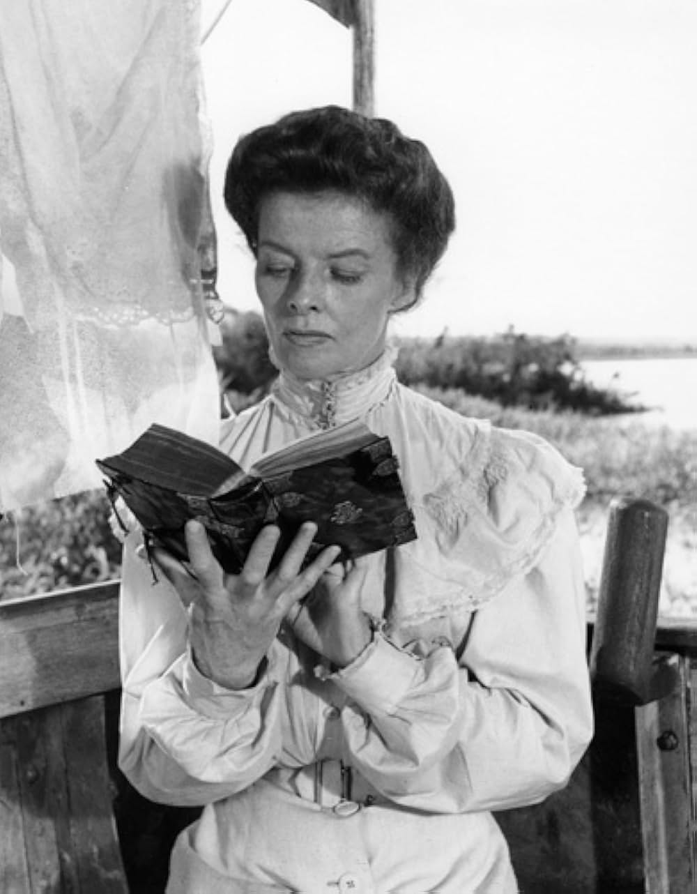 アフリカの女王の画像