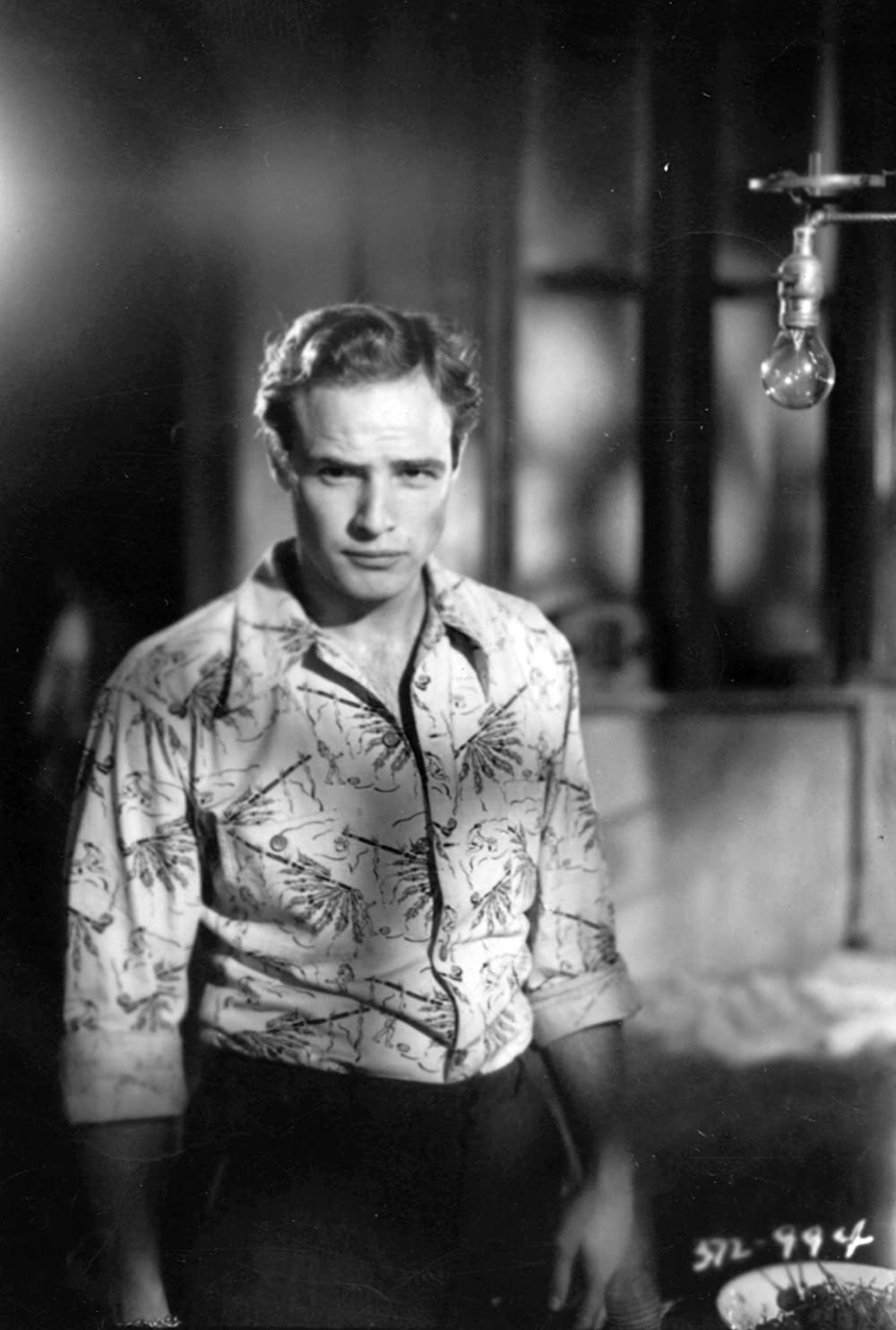 欲望という名の電車／オリジナル・ディレクターズカットの画像