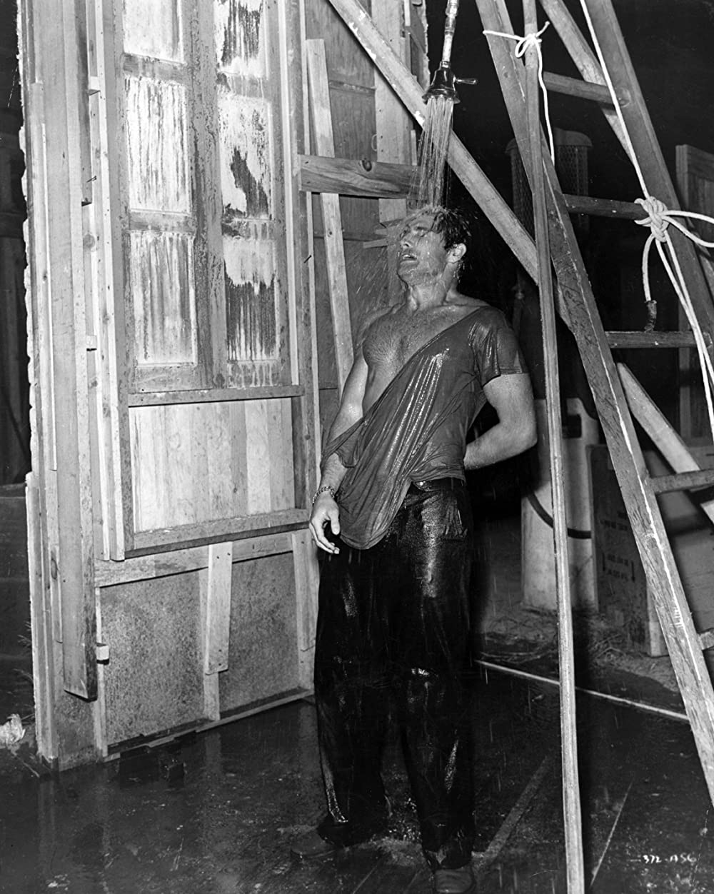 欲望という名の電車／オリジナル・ディレクターズカットの画像