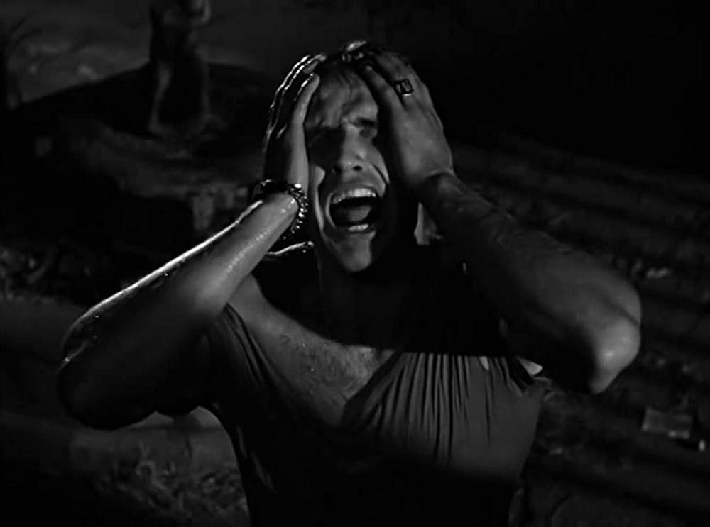 欲望という名の電車／オリジナル・ディレクターズカットの画像