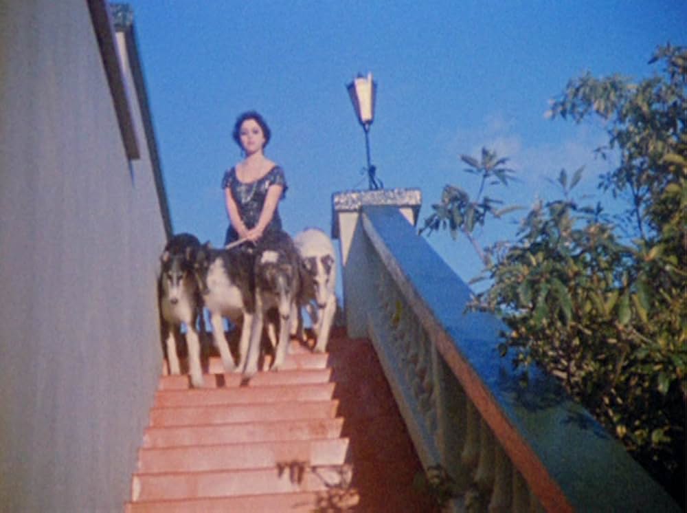 プース・モーメントの画像