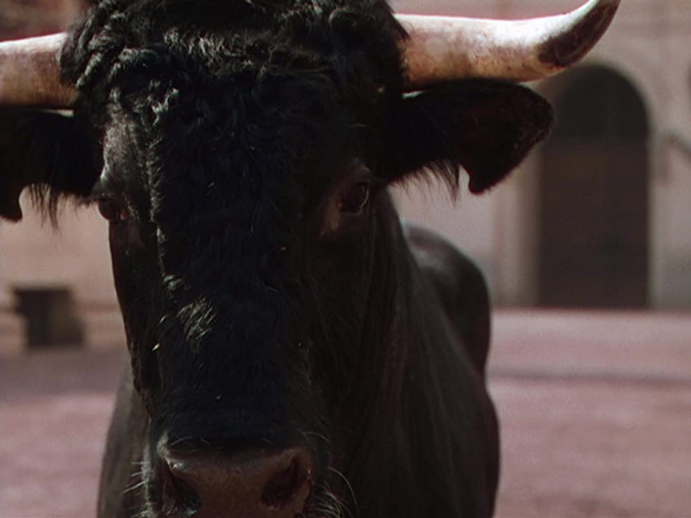 クオ・ヴァディスの画像