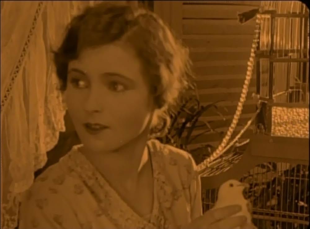 生けるパスカルの画像