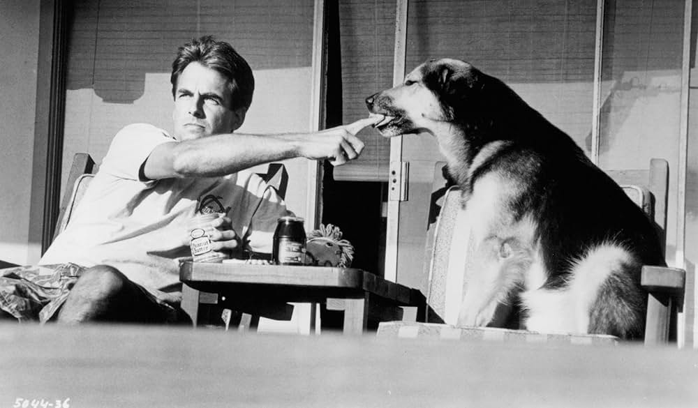 サマースクールの画像