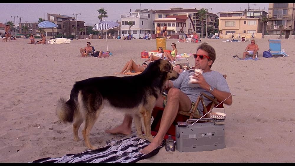 サマースクールの画像