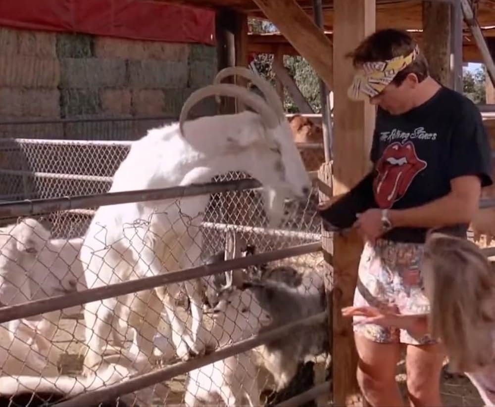 サマースクールの画像