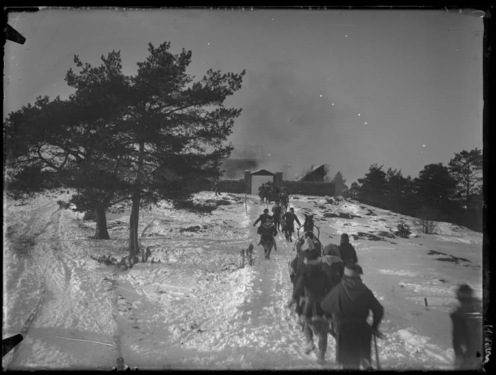 吹雪の夜の画像
