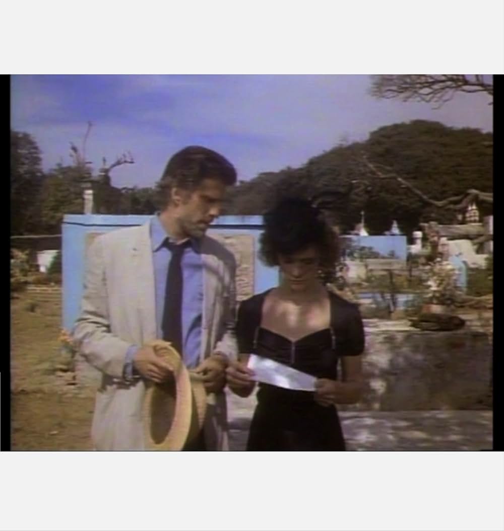 トレジャーinメキシコの画像