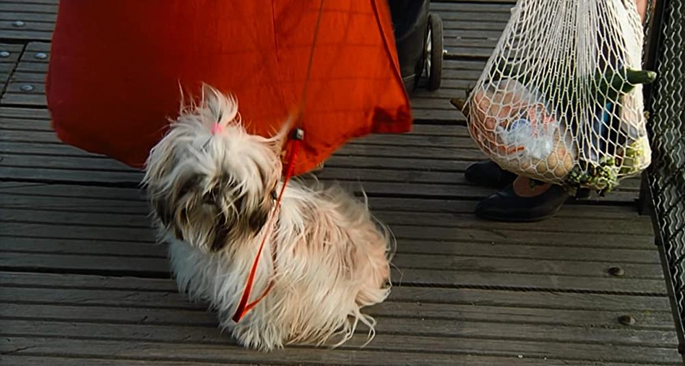 ファングルフ／月と心臓の画像