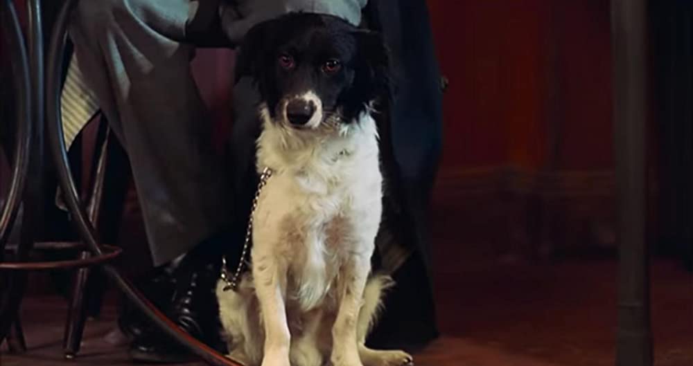 ファングルフ／月と心臓の画像