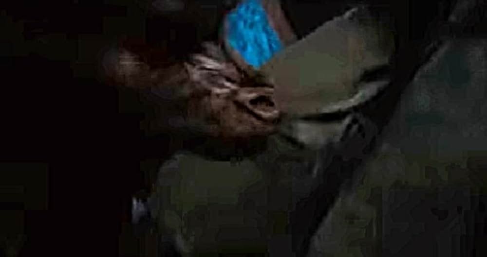 ファングルフ／月と心臓の画像