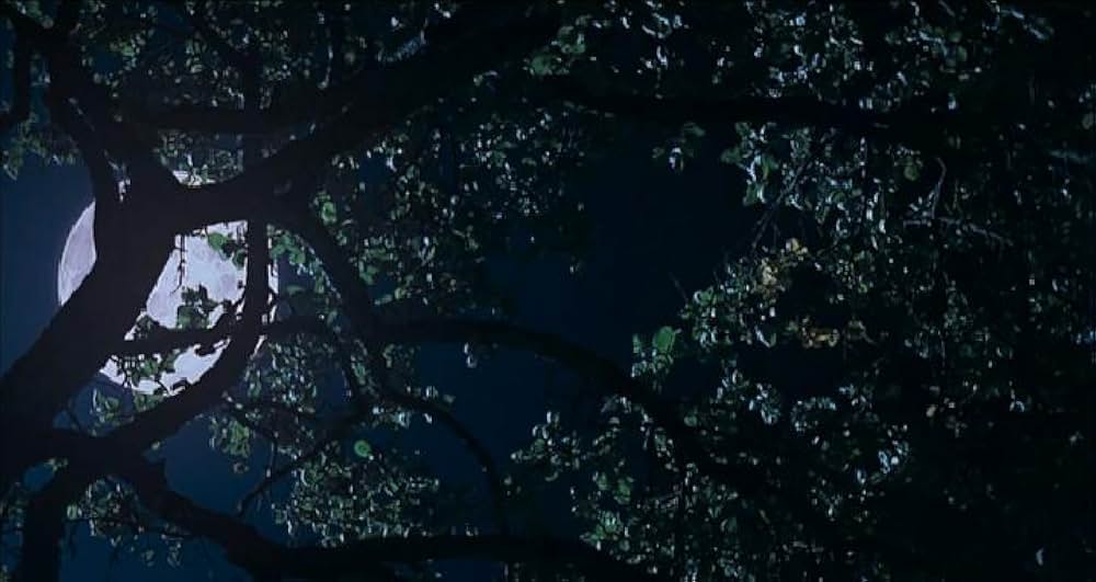 ファングルフ／月と心臓の画像