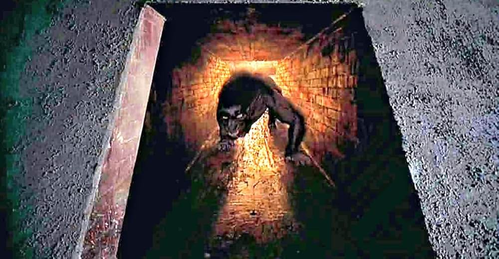 ファングルフ／月と心臓の画像