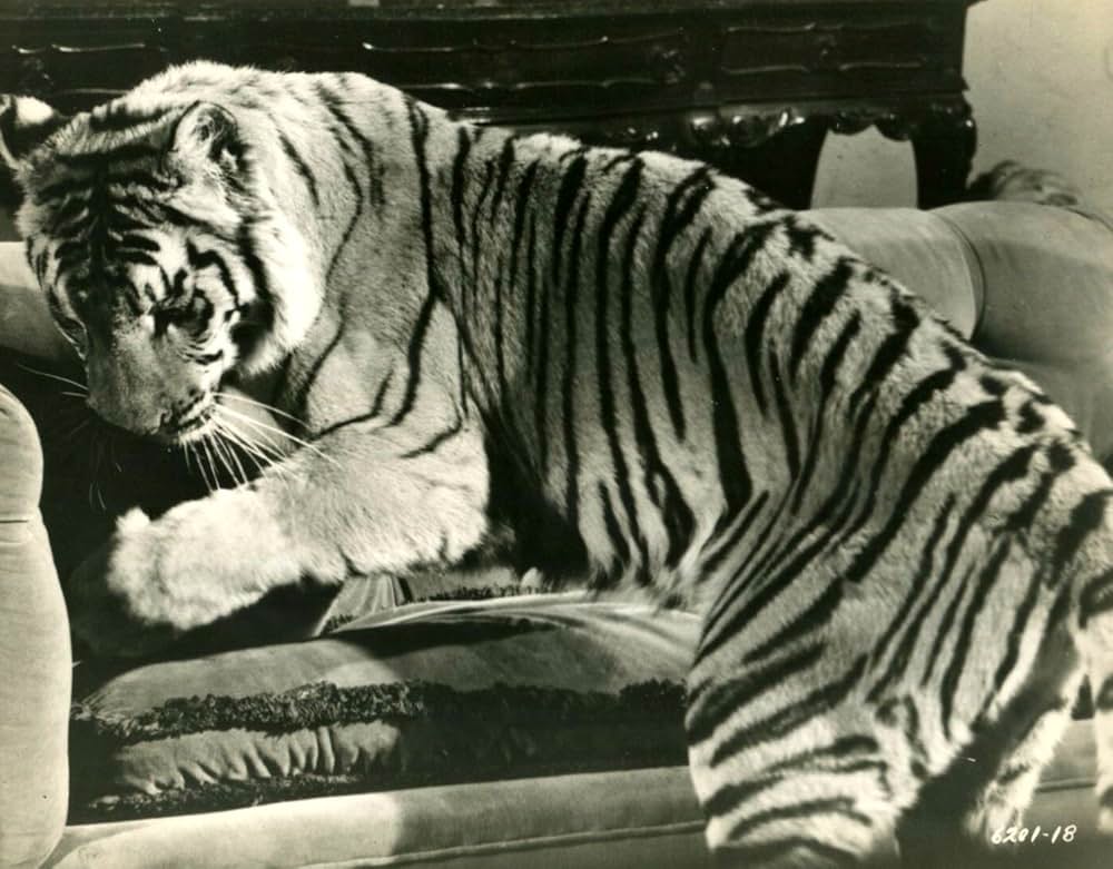 赤い野獣の画像