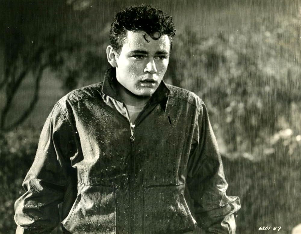 赤い野獣の画像