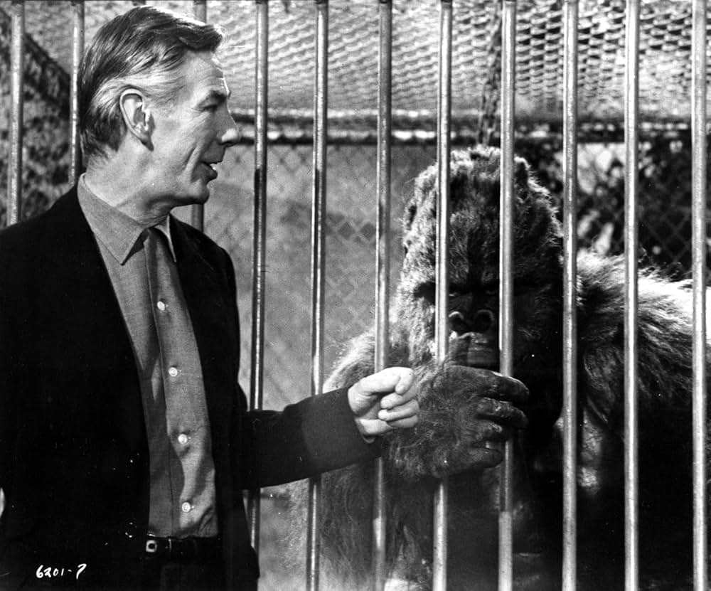 赤い野獣の画像