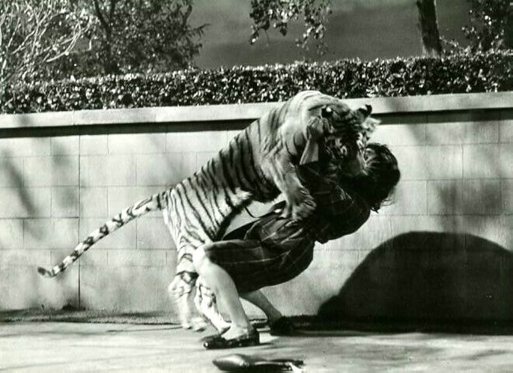 赤い野獣の画像