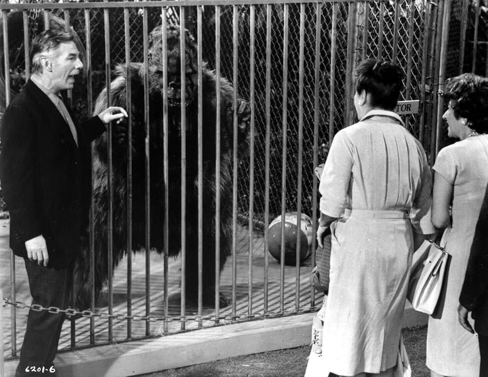 赤い野獣の画像