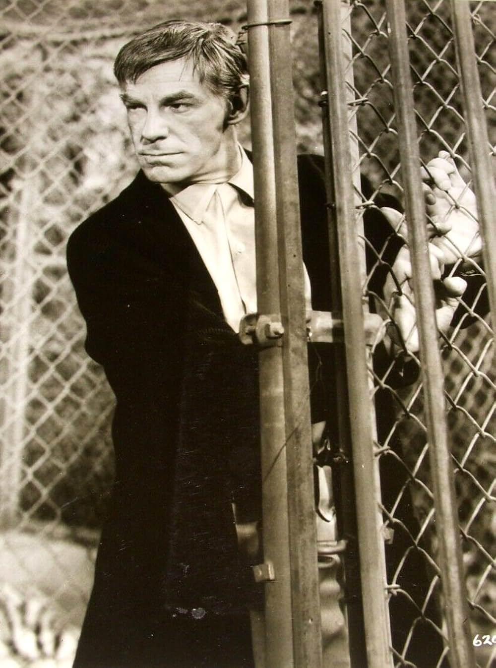 赤い野獣の画像