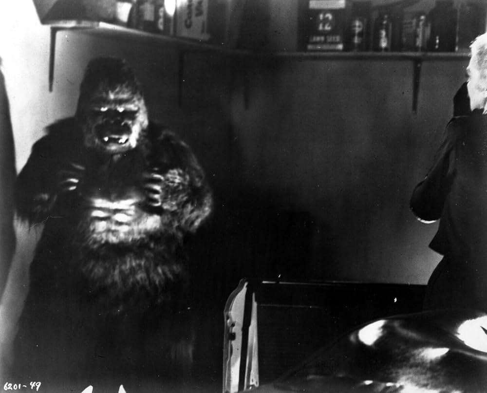 赤い野獣の画像