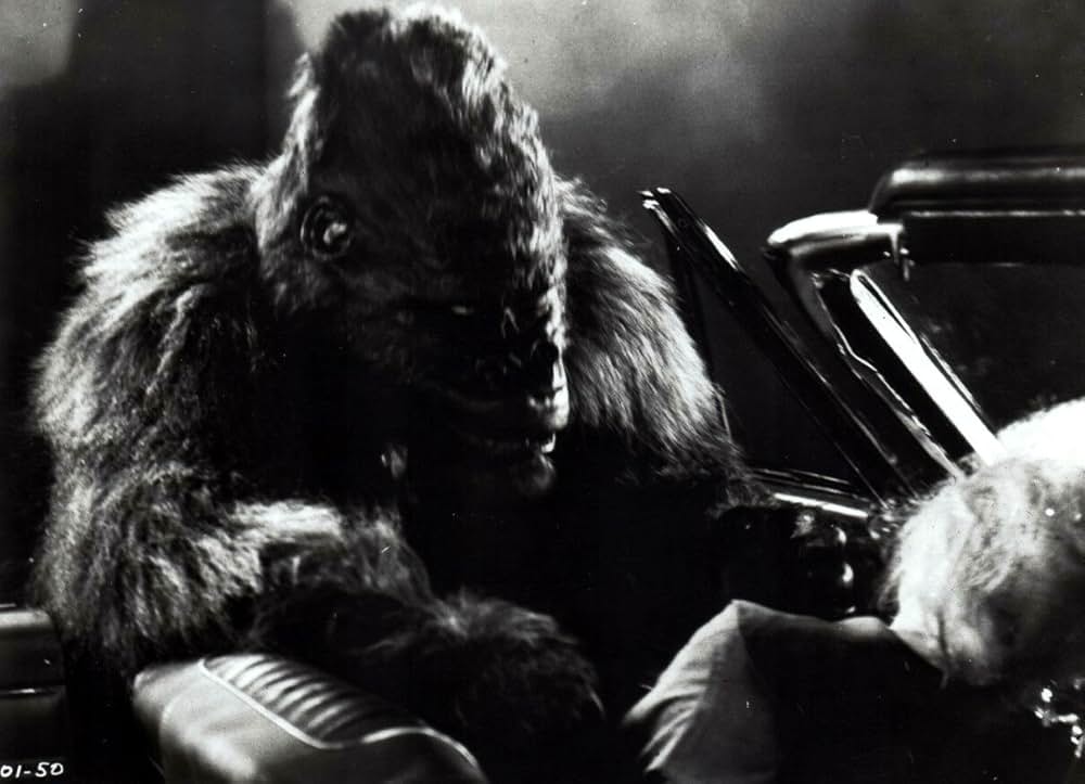 赤い野獣の画像