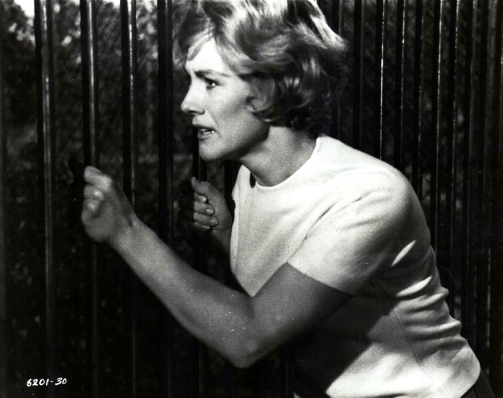 赤い野獣の画像