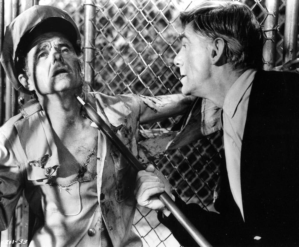 赤い野獣の画像