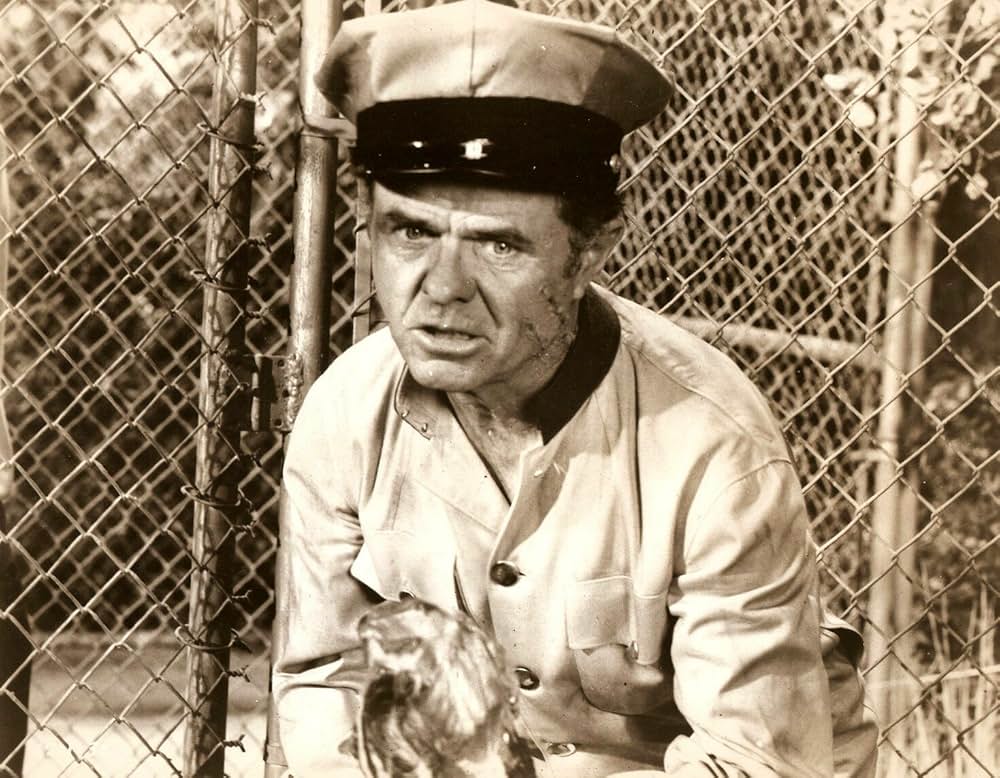 赤い野獣の画像