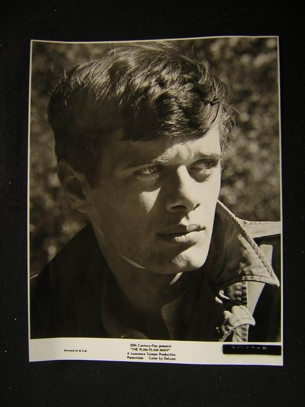 恋とペテンと青空との画像