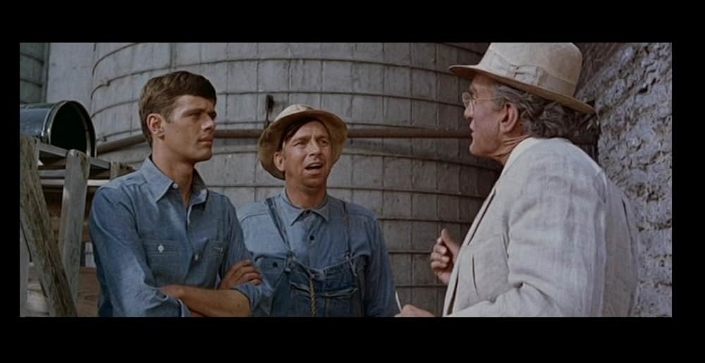 恋とペテンと青空との画像