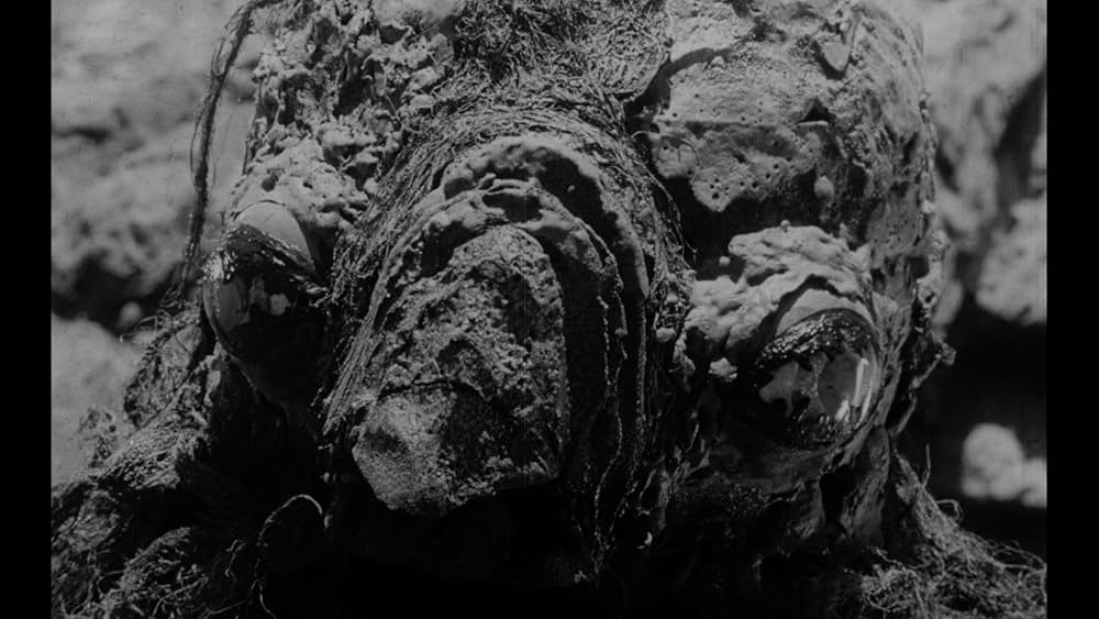 X星から来た吸血獣の画像