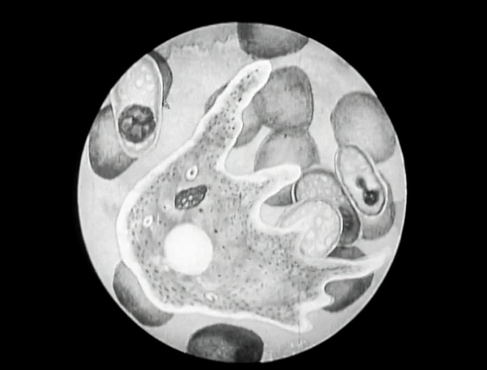 X星から来た吸血獣の画像