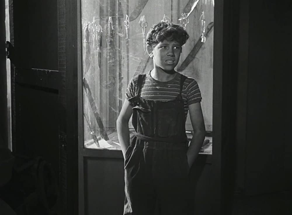 忘れられた人々の画像