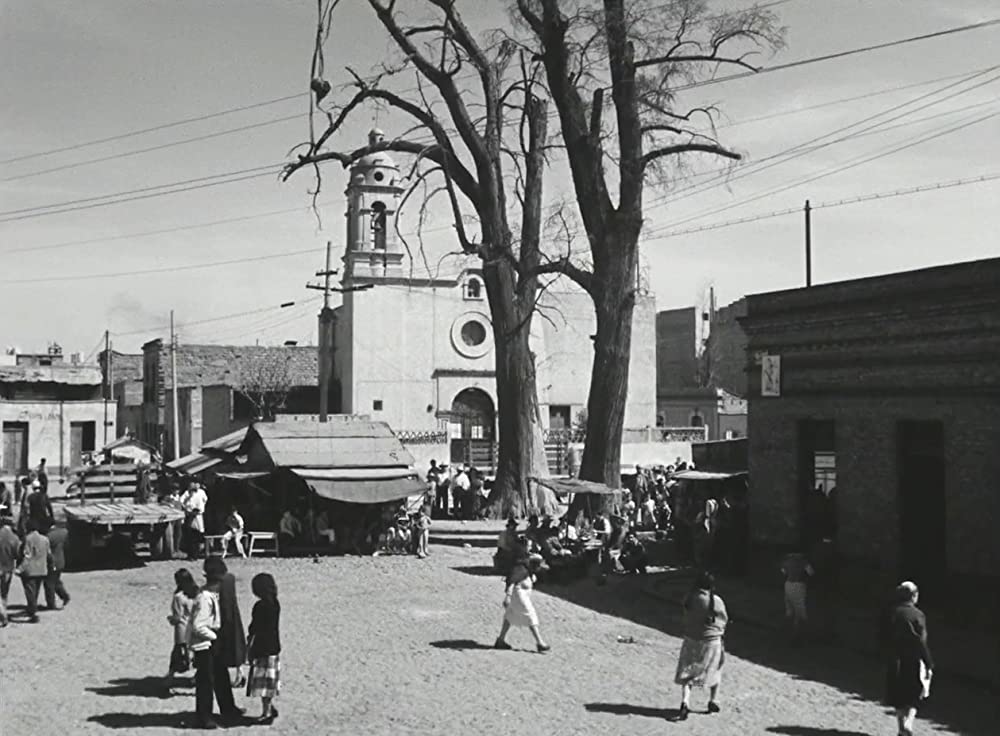 忘れられた人々の画像