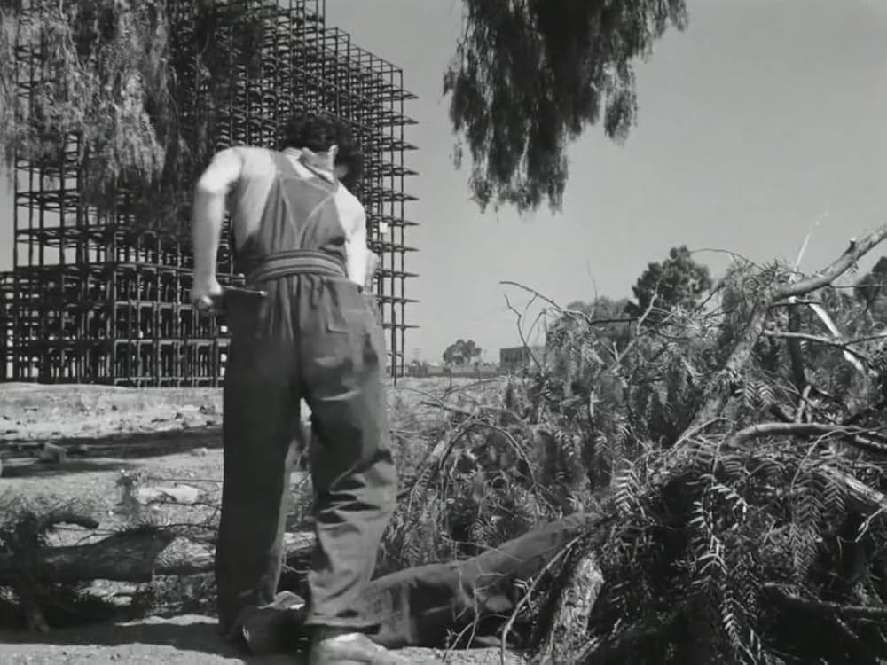 忘れられた人々の画像