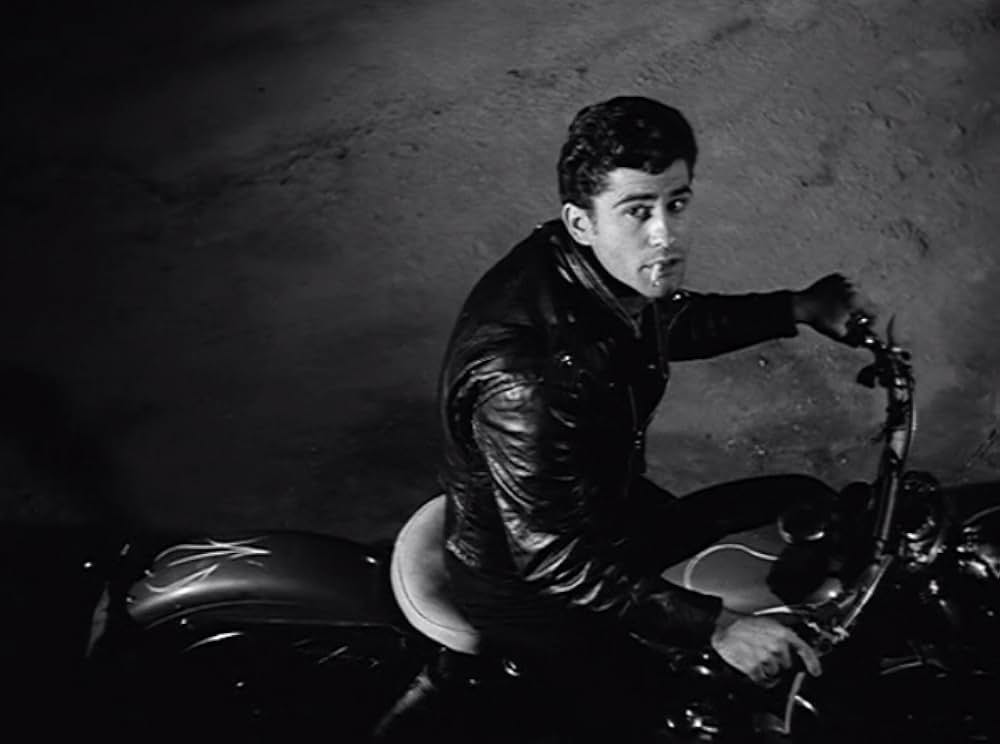 夜のけものの画像