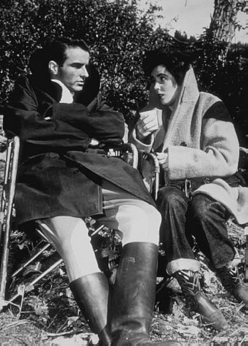 「陽のあたる場所」の画像