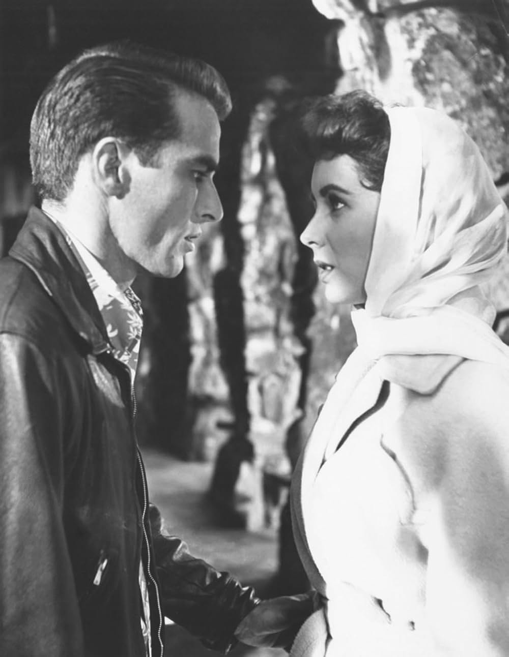 陽のあたる場所の画像