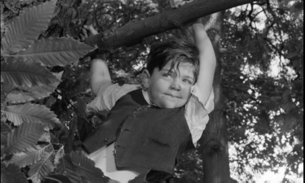 ヘブンズ・アバーブの画像