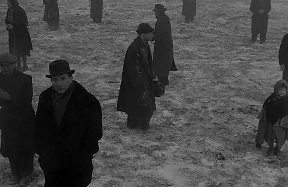 「ミラノの奇蹟」の画像