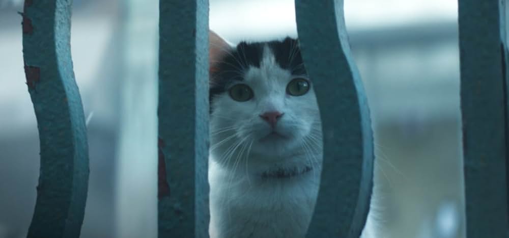 クワイエット・プレイス：DAY 1の画像