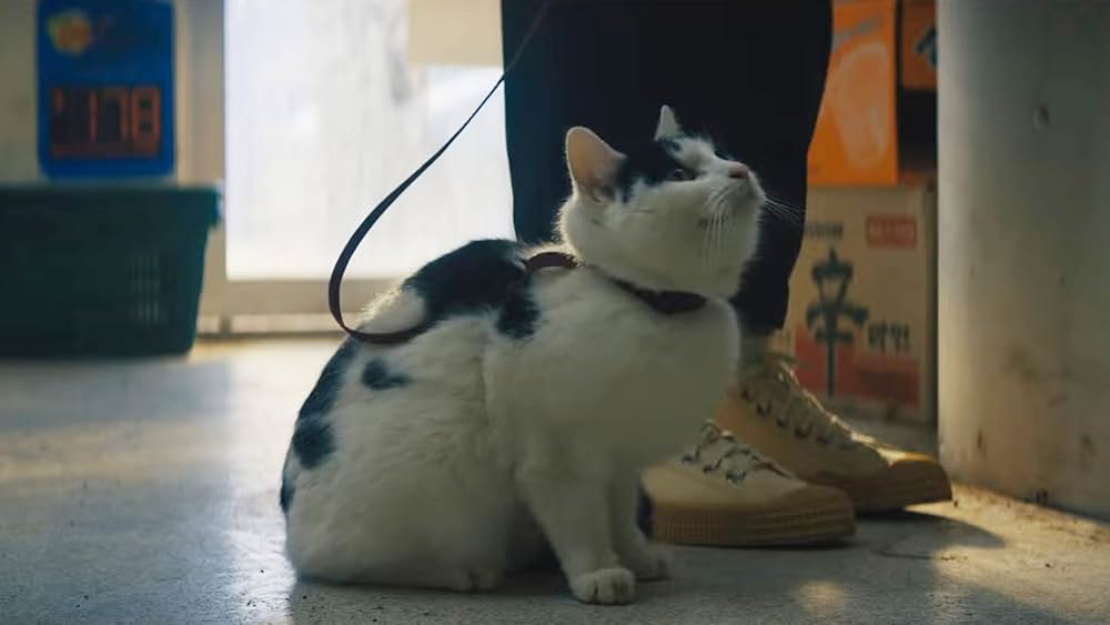 クワイエット・プレイス：DAY 1の画像