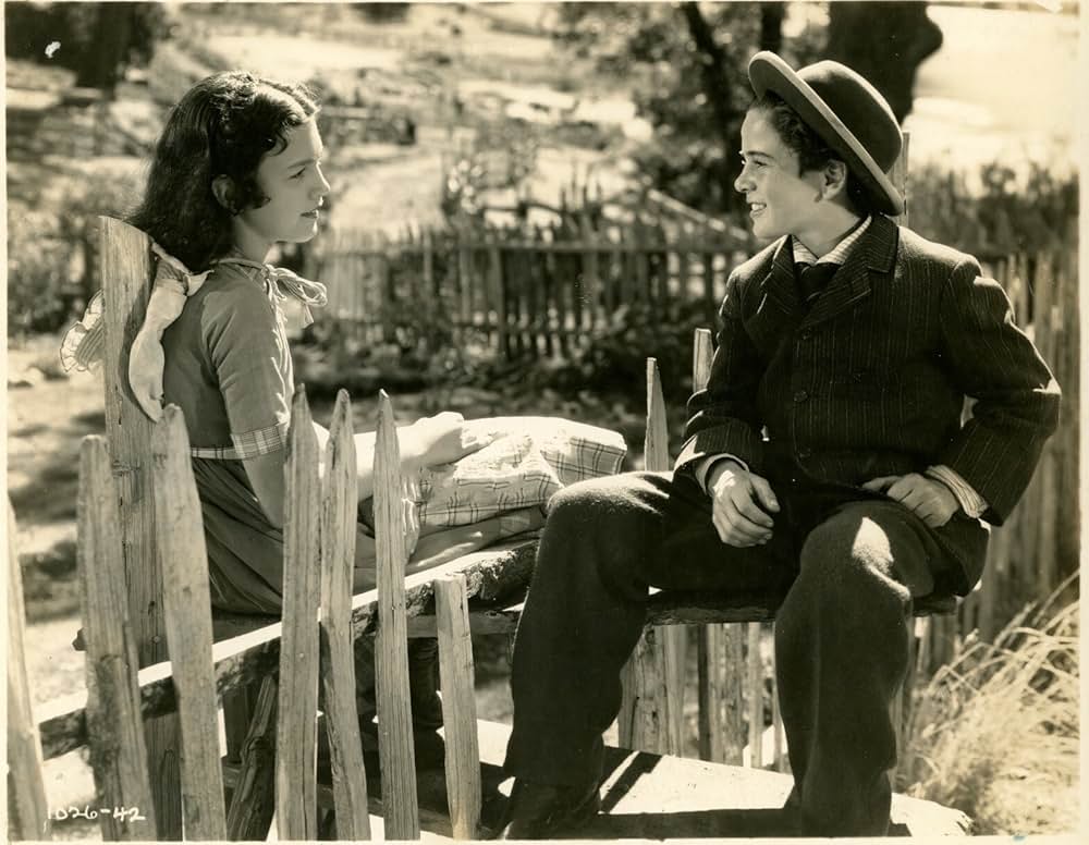 気高き荒野の画像