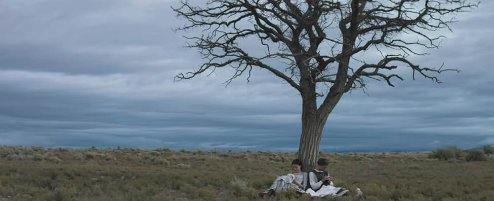 The Wind（原題）の写真