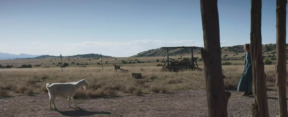 The Wind（原題）の画像