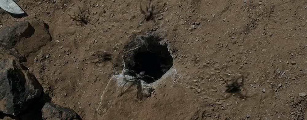 スパイダー／増殖の画像